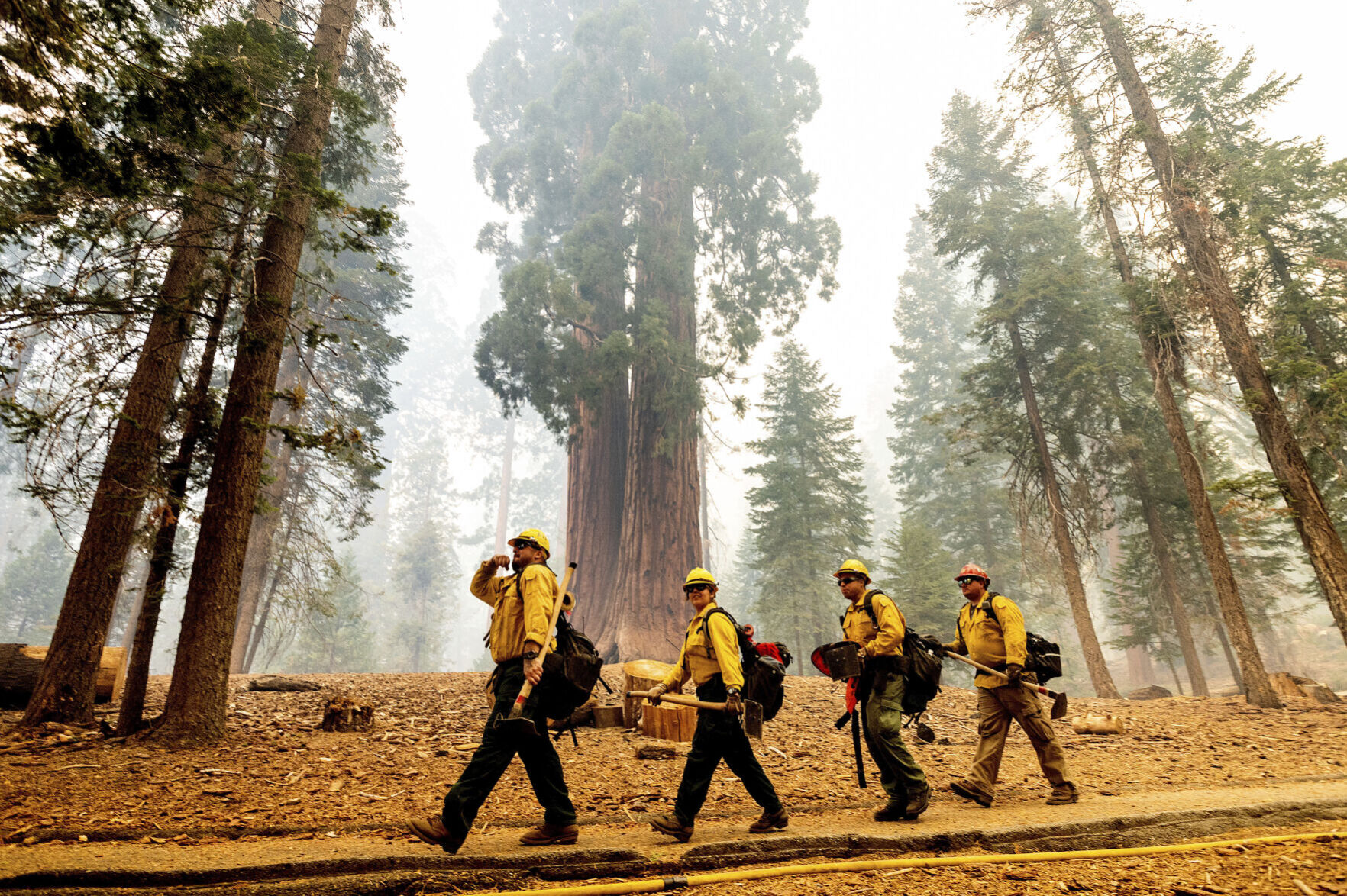 Western Wildfires